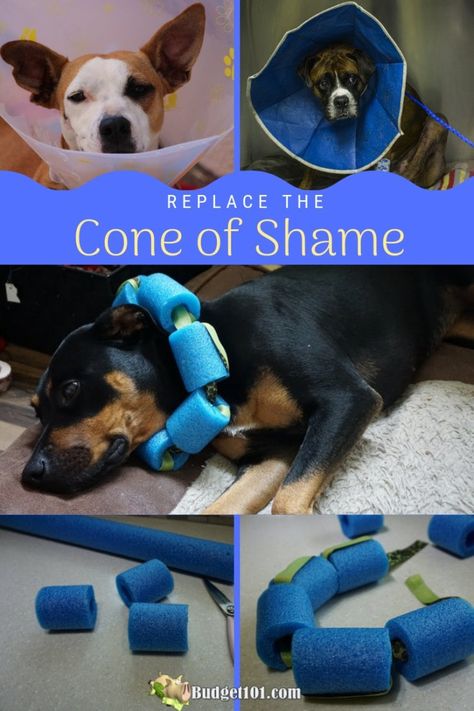 Dog Pool Noodle Collar, Pool Noodle For Dog Collar, Pool Noodle Collar For Dogs, Pool Noodles For Dog Cone, Pool Noodle Dog Collar, Alternative Dog Cone, Pool Noodle For Dog Cone, Pool Noodle Cone For Dogs, Diy Dog Cone How To Make