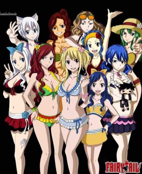 Fairy Tail Female Characters, Harem King, Fariy Tail, Fairy Tail Girls, Fairy Tail Characters, Erza Scarlet, Fairy Tail Anime, Patch Kids, Women Humor