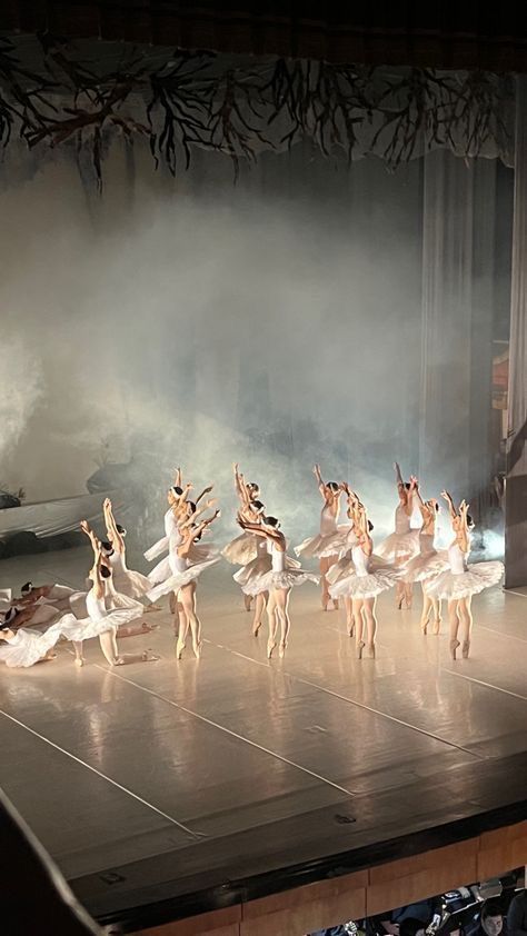 ballet, swan lake, black swan, white swan, opera, romance, ballet aesthetic, night out Swan Lake Ballet, Ballet Pictures, Ballet Beauty, Dance Dreams, Ballet Inspiration, Dancing Aesthetic, Ballet Girls, In Another Life, Blair Waldorf