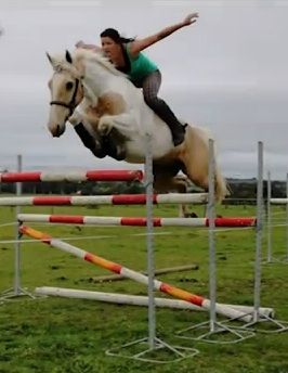 Alycia Burton, Bareback Riding, Natural Horsemanship, Free Horses, Comfy Couch, Sport Horse, Horse Equestrian, Horse Jumping, Cute Horses