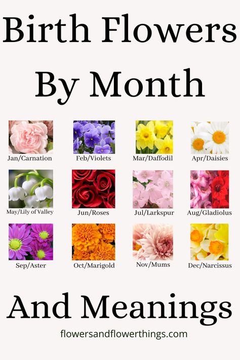 Learn about the birth flowers by month including for January, February, March, April, May, June, July, August, Septemebr, October, Novermber, and December.  The meanings associated with each of the flowers. #birthflowers #flowermeaning Gemini Flower Tattoo Birth Month, Birth Flower By Month Tattoo, Types Of Flowers And Meanings, Types Of Flowers Tattoo, Different Flowers And Their Meanings, Birthday Flowers By Month, Birth Flowers By Month, April Tattoos, Birth Flower Chart