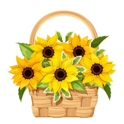 Illustration about Vector illustration of a basket with sunflowers isolated on a white background. Illustration of foliage, blossom, flower - 68436124 Flowers In A Basket, Basket Of Flowers, Clay Wall Art, Vector Flowers, Background Illustration, Blossom Flower, Flower Basket, Art Boards, Vector Art