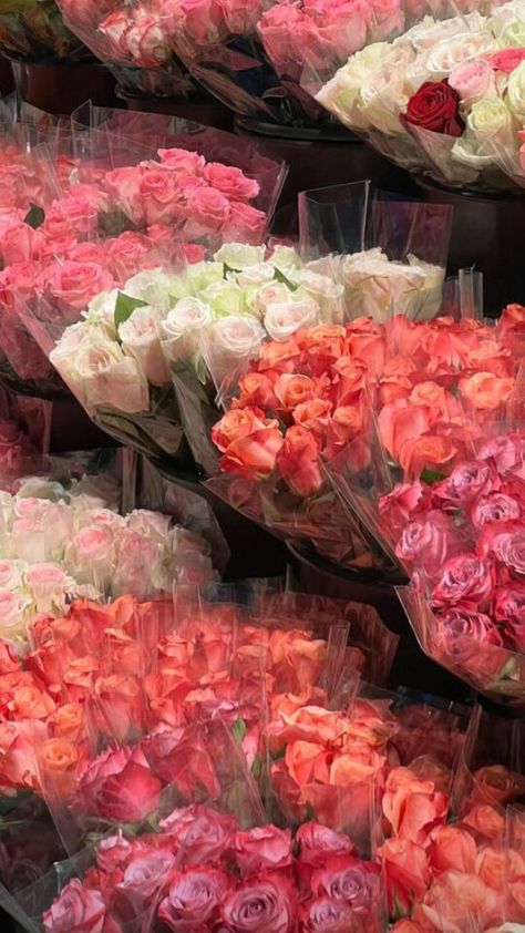 Rose Flower Aesthetic, Flowers Bouquet White, Rose Cute, Aesthetic Rose, Luxury Flower Bouquets, Dreamy Aesthetic, Prettiest Bouquet, Rose Flower Wallpaper, Boquette Flowers