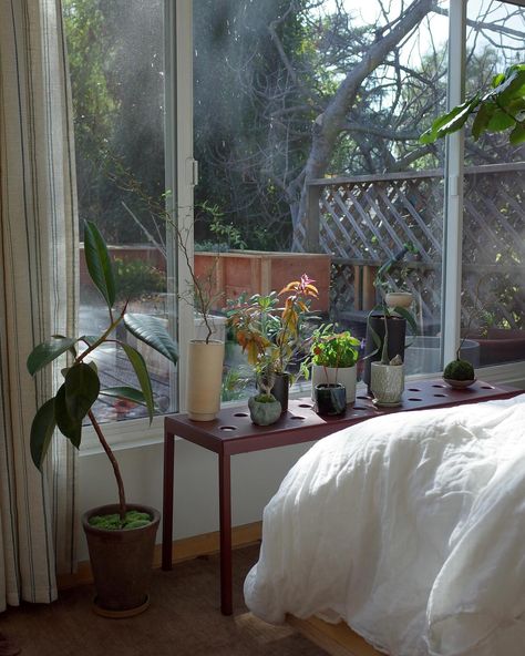 I use this bench in the bedroom to grow my succulent type plants and they love it here. It’s a south facing window so we get a ton of direct light. It’s getting a bit plant crowded up here, but i want to take advantage of this window. Plant Bench, Insta Aesthetics, Window Benches, Plant Display, Flat Ideas, Plant Aesthetic, In The Bedroom, Dream Apartment, The Bedroom