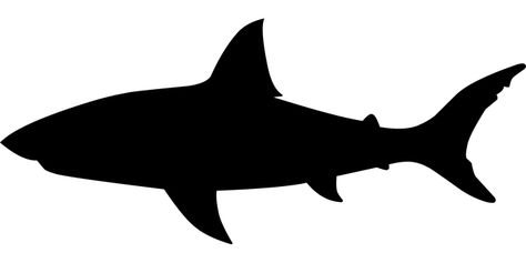 Great White Shark Silhouette, Shark Stencil, Silhouette Animals, Shark Silhouette, Shark Jaws, Save The Whales, Scroll Saw Patterns Free, Animal Stencil, Shark Tattoos