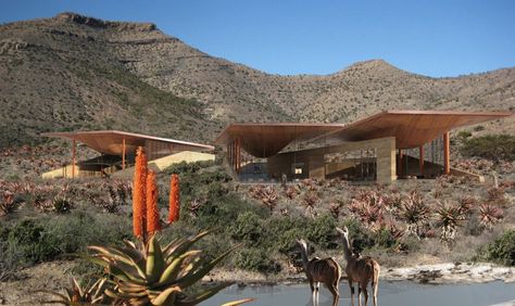 2014+AIA+San+Francisco+Design+Awards Karoo Architecture, Field Architecture, African Lodges, Architectural Renderings, South African Design, San Francisco Design, Eco Architecture, Parametric Architecture, Margaret River