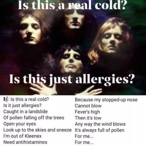 Allergies Funny, Misheard Lyrics, Funny As Hell, Music Humor, Bones Funny, Popular Memes, The Words, Funny Cute, Allergies