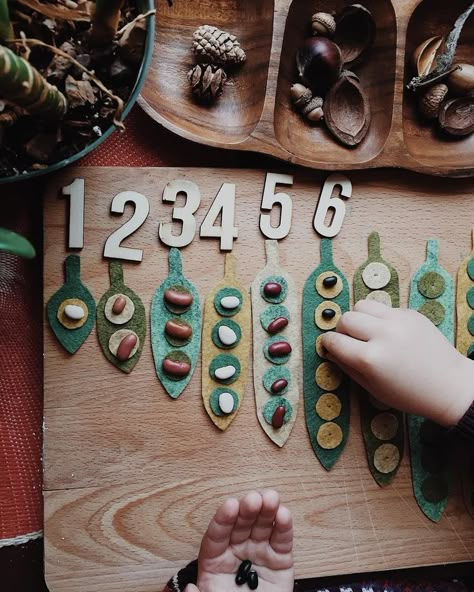 Reggio Emilia Classroom, Reggio Inspired Classrooms, Reggio Classroom, Nature School, Montessori Math, Seed Pod, Math Time, Number Recognition, Simple Math