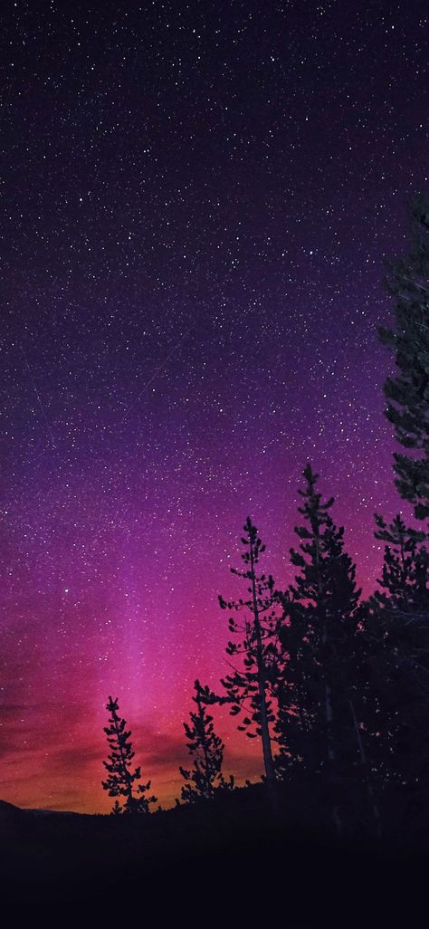 Purple Northern Lights Wallpapers on WallpaperDog Northern Lights Wallpaper Iphone, Samsung Galaxy S8 Wallpapers, Sunset Galaxy, Samsung S8 Wallpaper, Northern Lights Wallpaper, Galaxy S8 Wallpaper, S8 Wallpaper, Coastal Wallpaper, Iphone Wallpaper Lights