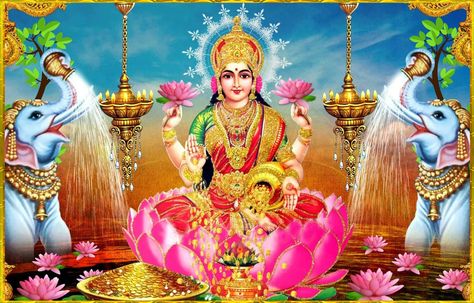 Laxmi Mata, Lakshmi Photos, Maa Image, Goddess Names, Lakshmi Images, Goddess Lakshmi, Free Wordpress Themes, Sanskrit, Ganesha