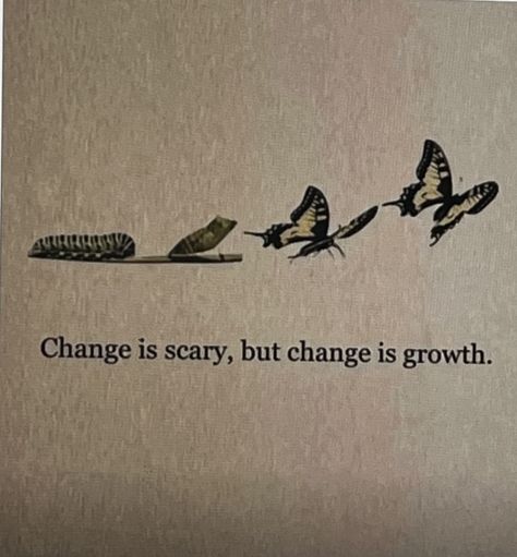 Deep Metaphors, Fly Butterfly Quotes, Without Change There Would Be No Butterflies, Catch More Flies With Honey Quotes, Butterflies Dont See Their Wings, Bees Don't Waste Their Time Explaining To Flies, Poetry, Elephant, Quotes