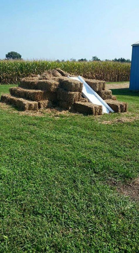 Corn Maze Activities, Pumpkin Patch Business, Fall Festival Activities, Fall Festival Decorations, Backyard Carnival, Pumpkin Patch Farm, Fall Harvest Party, Crop Farming, Sunflower Patch