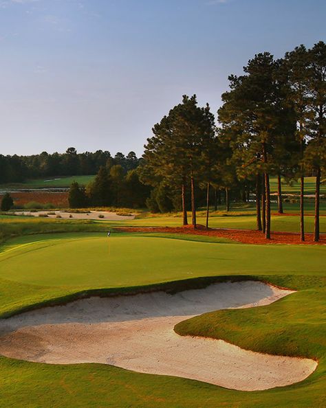 No. 8 | Golf Courses & Tee Times | Pinehurst Resort Pinehurst Golf, Golf Aesthetic, Augusta Golf, Famous Golf Courses, Landing Area, Public Golf Courses, Best Golf Courses, Top Golf, Green Photo