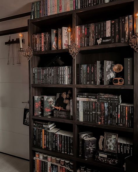 Big Bookshelf Aesthetic, Living Room Bookshelf Ideas, Book Collection Aesthetic, Manga Bookshelf, Room Bookshelf Ideas, Goth Living Room, Bookshelves Aesthetic, Shelves Decoration, Living Room Bookshelf