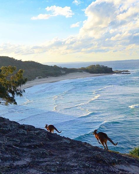 Australia Life, Down Under, Paradise Pictures, Stradbroke Island, East Coast Road Trip, Kangaroo Island, Waves Crashing, Ocean Vibes, Sunset Nature