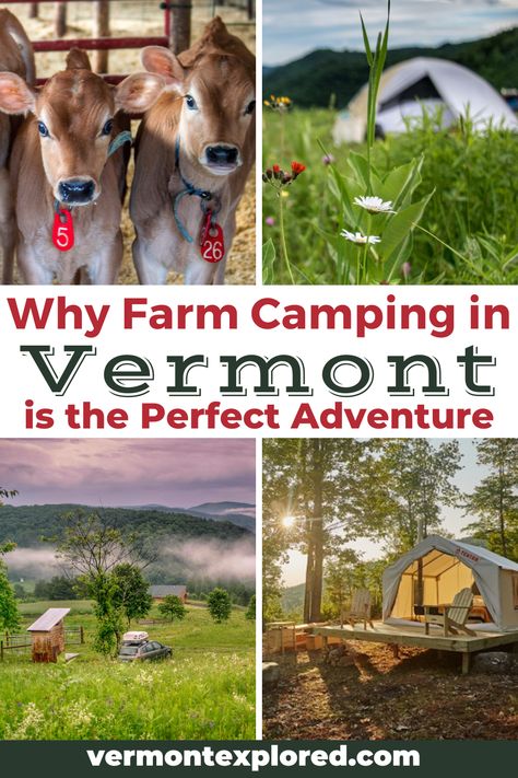 Camping In Vermont, Camping Destinations United States, Rv Camping Food Ideas, Vermont Camping, Summer Vermont, Green Mountains Vermont, Vermont Hiking, Vermont Skiing, Vermont Cabin