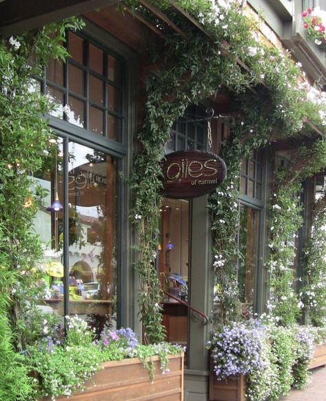 Flower Shop Front Design, Florist Shop Exterior, Flower Shop Exterior Store Fronts, Magnolia Promenade, Spa Store, Growing Vines, Building Front, Coffee Shop Aesthetic, Flower Store