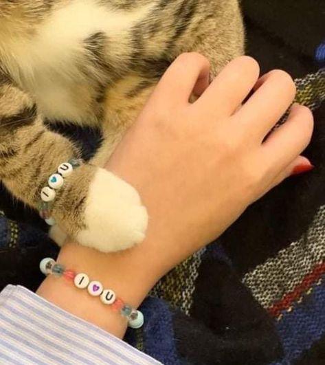 Cat Collars Diy, Ankle Bracelets Diy, Flipagram Instagram, Collars Diy, Cat Bracelet, Jewelry Accessories Ideas, Source Unknown, Pet Lover, Beaded Jewelry Diy