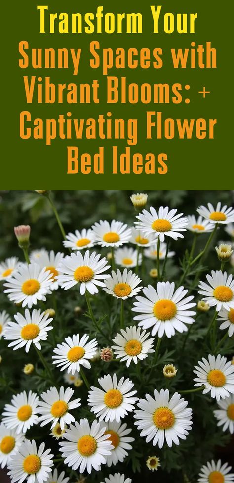 Discover 20 breathtaking flower bed ideas to create a stunning garden around your home in full sun areas today! Full Sun Garden Bed Ideas, Designing A Flower Bed, Flower Gardens Full Sun, Beautiful Flower Beds, Russian Sage, Flower Bed Designs, Garden Flower Beds, Flower Bed Ideas, Sun Plants