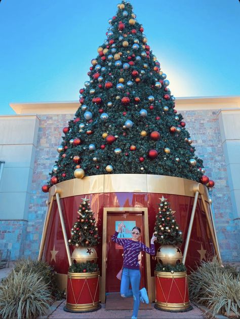 Christmas Service, Christmas Window Display, Christmas Window, Christmas Display, Magical Christmas, Pisco, Christmas Background, Xmas Tree, Carnival