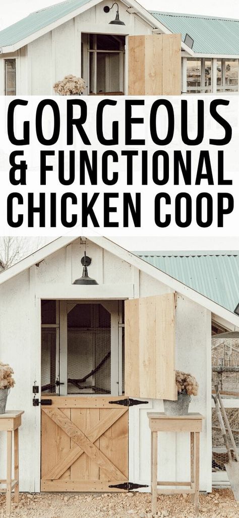 Chicken Coop Plans Free, Goat Shed, Chicken Houses, Cute Chicken Coops, Goat House, Backyard Chicken Coop Plans, Chicken Coup, Amazing Chicken, Diy Chicken Coop Plans