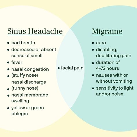 Sinus Headache Remedies, Sinus Headache Relief, Remedy For Sinus Congestion, Sinus Remedies, Home Remedies For Sinus, Sinus Health, Sinus Congestion Relief, Essential Oils For Pregnancy, Yoga Information