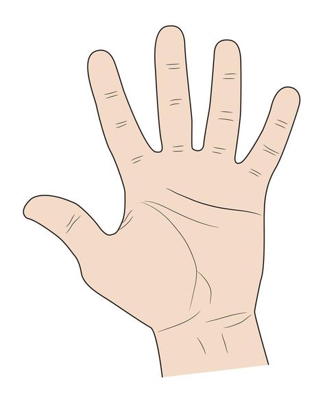 sign five fingers a palm up on white background Hand Palm, Five Fingers, Background Background, Blood Cells, Background White, White Background, Vector Free, How To Draw Hands, Clip Art