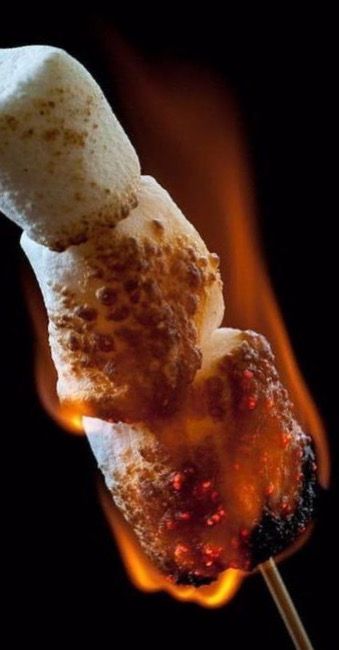 Camp Fire Smores, Fun Food Photography, Smores Candle, Smores Dessert Recipes, Make Smores, Campfire Design, Campfire Snacks, Campfire Smores, Smores Dessert