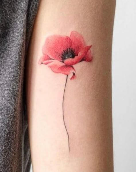 Poppy Tattoo On Ankle, Poppy Neck Tattoo, Pink Poppy Tattoo, Black Poppy Tattoo, Simple Poppy Tattoo, Watercolor Poppy Tattoo, Red Poppy Tattoo, Poppy Tattoos, Red Flower Tattoos