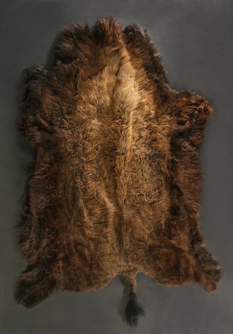 Hides & Pelts | Merlin's Hide Out Beaver Pelt, Petroglyphs Art, Hide Pillows, Animal Taxidermy, Wet Specimen, Hunting Tools, Bison Leather, Animal Hide, Herbal Bath