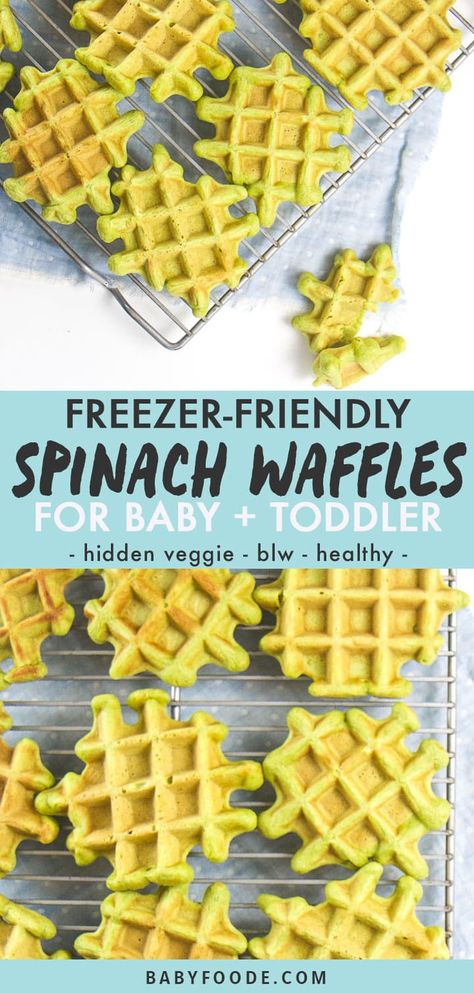 Food Puree Recipes, Blw Recipes No Teeth, Spinach Waffle Recipe, Healthy Breakfast For One Year Old, Spinach Waffles Healthy, Baby Led Breakfast Ideas, Breakfast For Infants, Spinach Waffles For Baby, Babyled Weaning Recipe