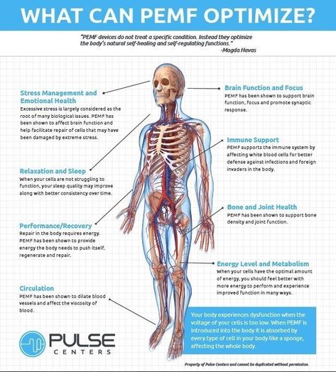 Pemf Therapy Mat, Pemf Therapy Benefits, Magnawave Therapy, Rife Frequencies, Nerve Pain Remedies, Throbbing Headache, Pemf Therapy, Piriformis Stretch, Nerve Health