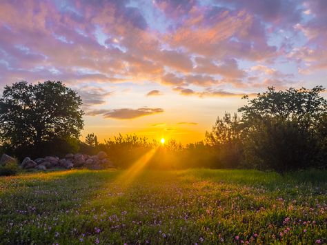 Landscape Sunrise, Morning Landscape, Sunset Sky Photography, Sunrise Spring, Redding California, Sunrise Landscape, Sunrise Pictures, Morning Sunrise, Sunrise Photography