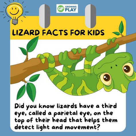 Learn lizard facts for kids and more to discover more about lizards! Activity ideas, questions and more from Growing Play. Sloth Facts, Apple Facts, Lizard Habitat, Animals Information, Fact Of The Day, Science Journal, Cute Kawaii Animals, Dinosaur Coloring Pages, Facts For Kids