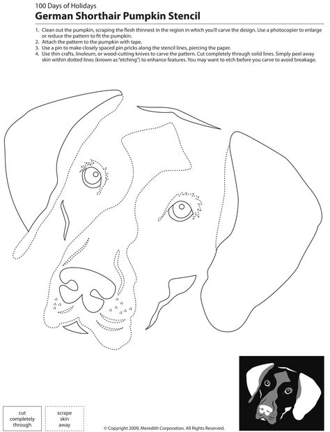 22 Downloadable Dog Breed Pumpkin Stencils Sheep Quilt, Dog Template, Dog Stencil, Pumpkin Stencils, Pumpkin Cutouts, Dog Pumpkin, Dog Quilts, German Shorthair, Pumpkin Carvings Stencils