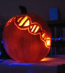 Amy Brown Science: The Haunted Library .... Science Style! Haunted Library, Pumpkin Science, Halloween Teaching, Pumkin Carving, Amazing Pumpkin Carving, Library Science, Science Themes, Medical Laboratory, Scary Places