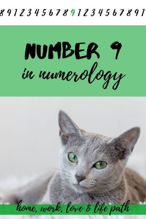 Number 9 in numerology is the largest one. It symbolizes the last lessons of the spiritual path, service, selflessness, magic mystery, wise and strong hermit. #number_9_numerology #number_9_meaning 9 Life Path Number, Life Path 9 Numerology, Numerology Life Path 11, Life Path Number 9 Numerology, Life Path Number 7, The Last Lesson, Finding Purpose In Life, Number 9, Numerology Numbers