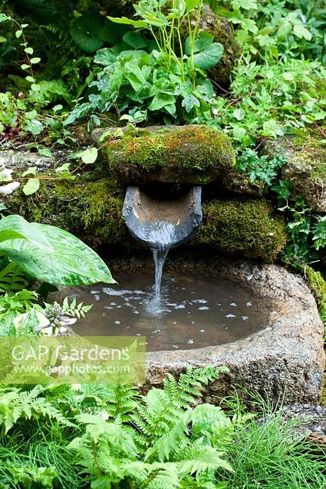 Water feature in woodland garden Japanese Garden Landscape, Garden Pond Design, Outdoor Water Features, Small Water Features, Garden Water Feature, Diy Garden Fountains, Pond Water Features, Backyard Water Feature, Garden Decor Ideas