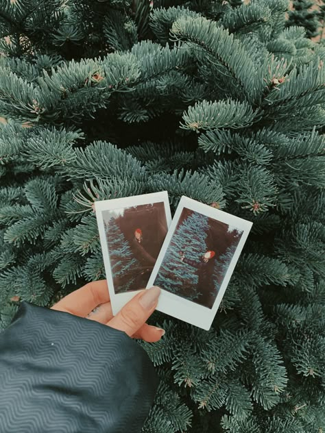 Holiday Polaroid Pictures, Christmas Polaroid Aesthetic, Polaroid Pictures Photography, Christmas Gift Cheap, Christmas Polaroid, Santa Pancakes, Instax Ideas, Mini Polaroid, Simple Camera