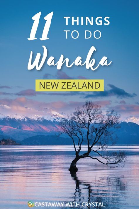 Spectacular FREE things to do in Wanaka, New Zealand! | Want to do something different? Need to save money? Hiking in Wanaka is incredible, and there are some pristine watering holes, places to climb and even a famous tree to check out! #Free #ThingsToDo #Wanaka #NewZealand #NZ #hike #hiking #thatwanakatree #sunset #LakeWanaka #CwC Famous Trees, Wanaka New Zealand, New Zealand Itinerary, New Zealand Travel Guide, Lake Wanaka, New Zealand South Island, Do Something Different, Oceania Travel, New Zealand Travel