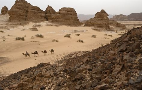 camels mt. sinai egypt Sinai Peninsula, Visit Egypt, Travel Images, Travel Stories, Adventure Awaits, Nature Travel, Beautiful Destinations, Outdoors Adventure, Monument Valley