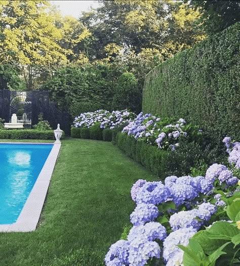 Dröm Hus Planer, Hydrangea Landscaping, Amazing Swimming Pools, Swimming Pool Landscaping, English Room, Pool Landscape Design, Backyard Pool Landscaping, Backyard Pool Designs, Swimming Pools Backyard