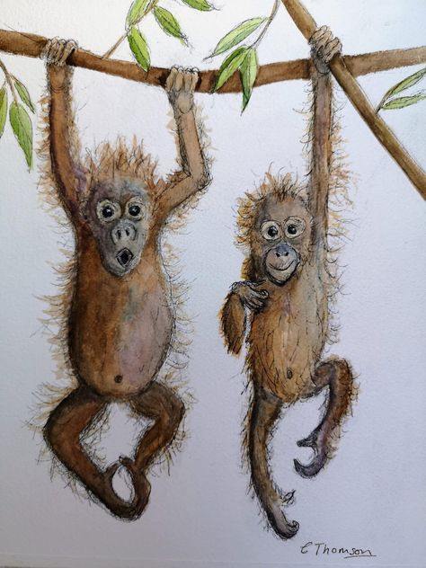 Drawing Of A Monkey, Ape Drawing, Baby Monkey Drawing, Monkey Sketch, Monkey Drawings, Chimpanzee Drawing, Monkey Painting, Orangutan Drawing, Monkey Painting Easy