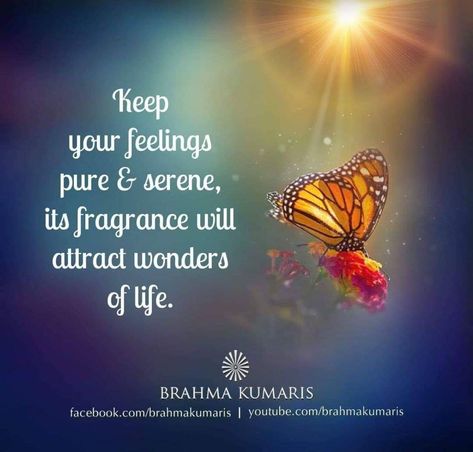 Shanti Quotes, Om Shanti Quotes, Brahma Kumaris, Om Shanti, Daily Quote, Feelings, Quotes