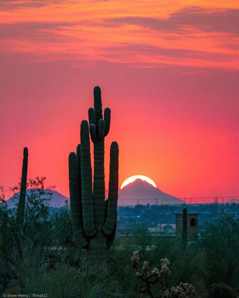 Phoenix Arizona Sunset, 2024 Moodboard, Arizona Sunset, Apache Junction, Colorful Sky, Red Sunset, Desert Sunset, Photo Of The Day, Sunset Pictures