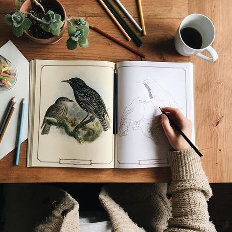 0 Green Academia Aesthetic, Green Academia, Art Journal Inspo, Woodland Cottage, Wildlife Biologist, Spring In The City, Nature Artists, Sense Of Life, Birds Nest