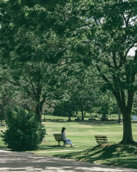 Park Bench Aesthetic, Park Reference, Earth Photography, Just Chill, 사진 촬영 포즈, Spring 23, Pictures Of Nature, Sun Sets, Spring Aesthetic