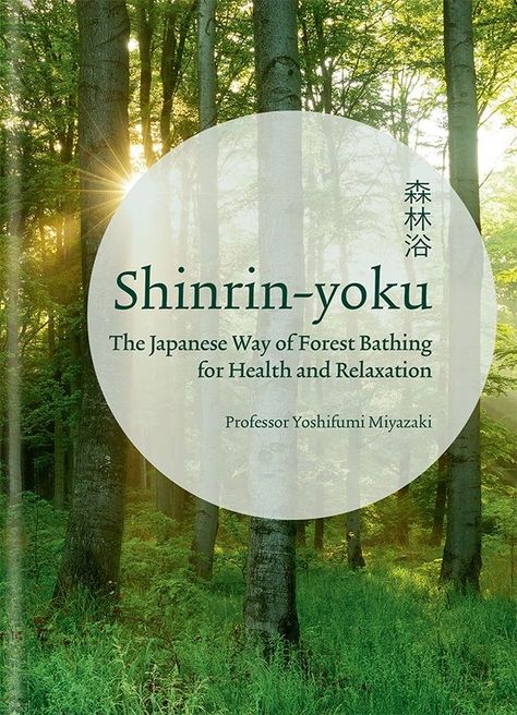 Miyazaki Yoshifumi Explores the Healing Power of the Forest | Nippon.com Japanese Forest, Shinrin Yoku, Adventure Books, Japanese Lifestyle, Forest Bathing, Environmental Health, Beautiful Forest, Brain Activities, Chiba