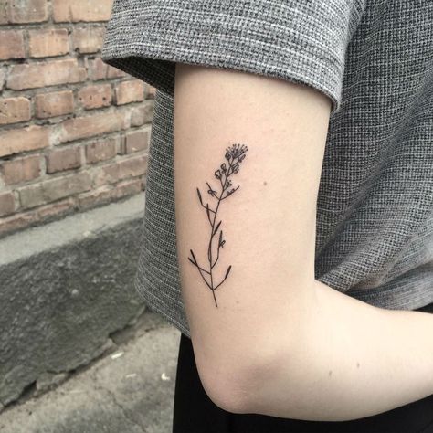 Gifted Ukrainian Artist Creates Stunning Floral Tattoos Mustard Seed Tattoo, Mustard Seed Plant, Seed Tattoo, Fenrir Tattoo, Ukrainian Tattoo, Tattoo Trend, Wildflower Tattoo, Poppies Tattoo, Tattoo Color