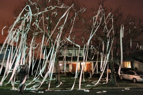 TP a house- check! Yard Pranks, House Pranks, Pranks To Pull, Great Pranks, Halloween Pranks, Halloween Tricks, Halloween Cans, Paper Streamers, Expectation Vs Reality